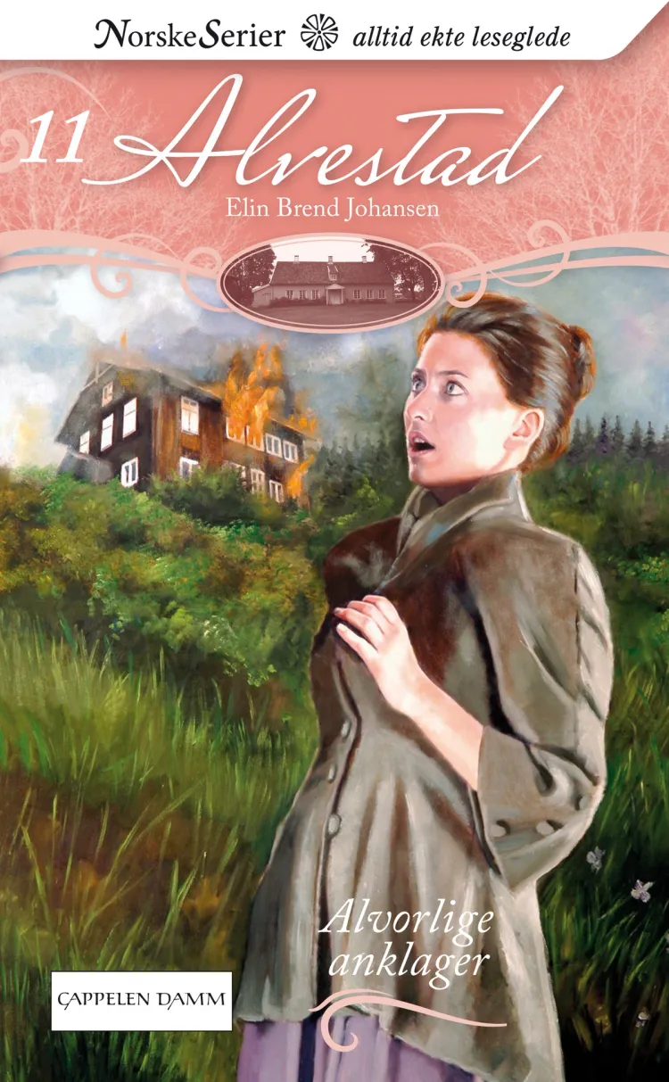 Omslag Alvorlige anklager av Elin Brend Johansen (Ebok)