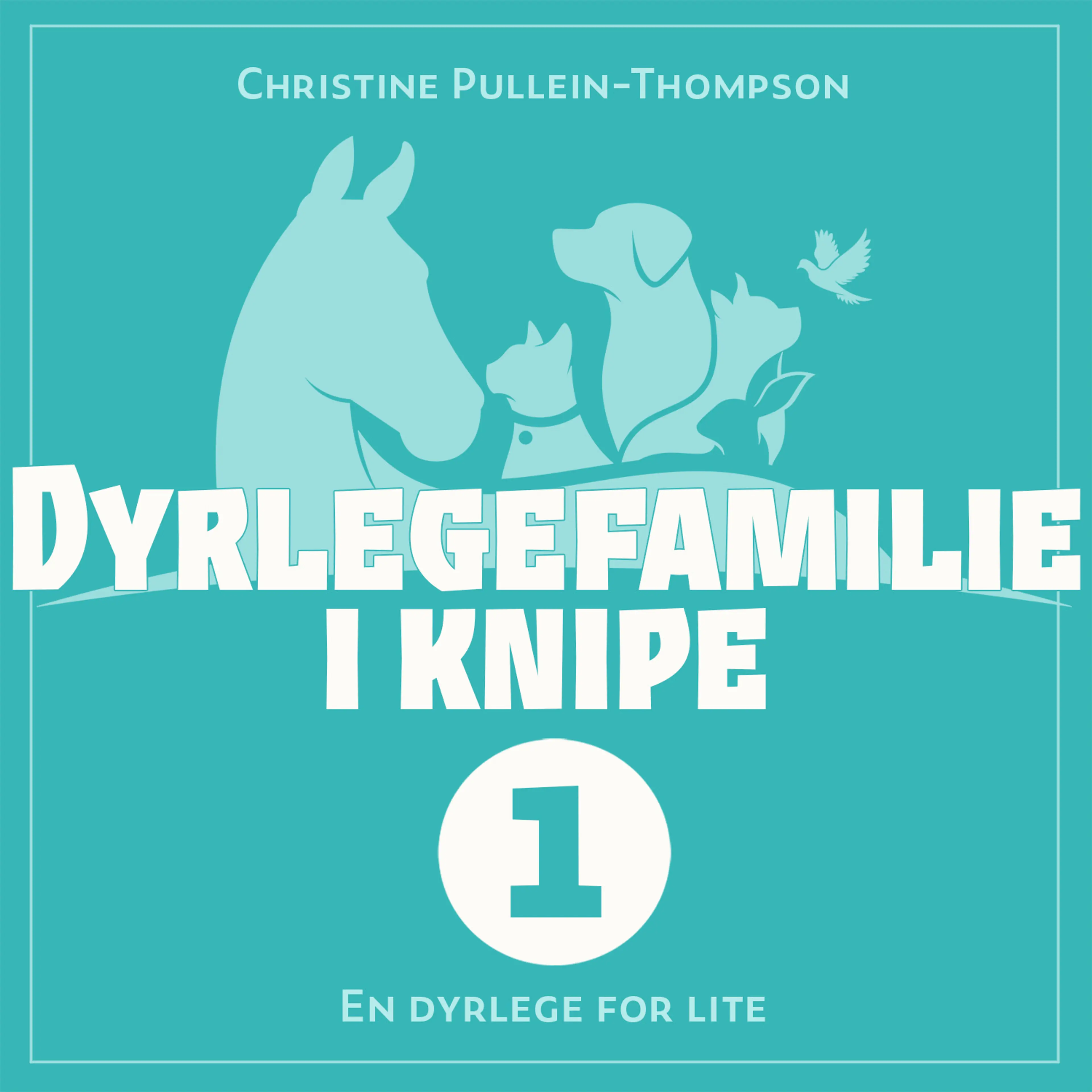 Omslag En dyrlege for lite av Christine Pullein-Thompson (Lydbok)
