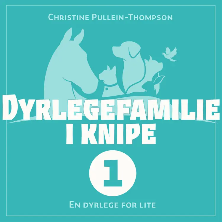 Omslag En dyrlege for lite av Christine Pullein-Thompson (Lydbok)
