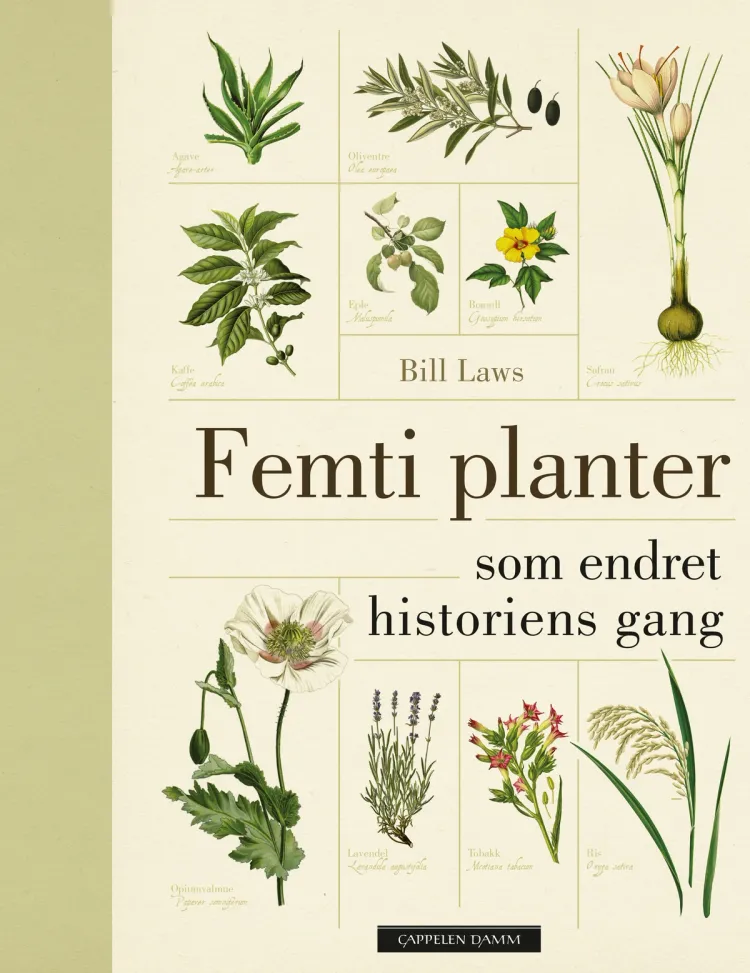 Omslag Femti planter som endret historiens gang av Bill Laws (Innbundet)