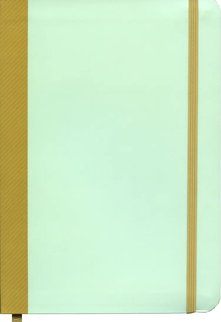 Omslag Punktjournal notatbok (Innbundet)