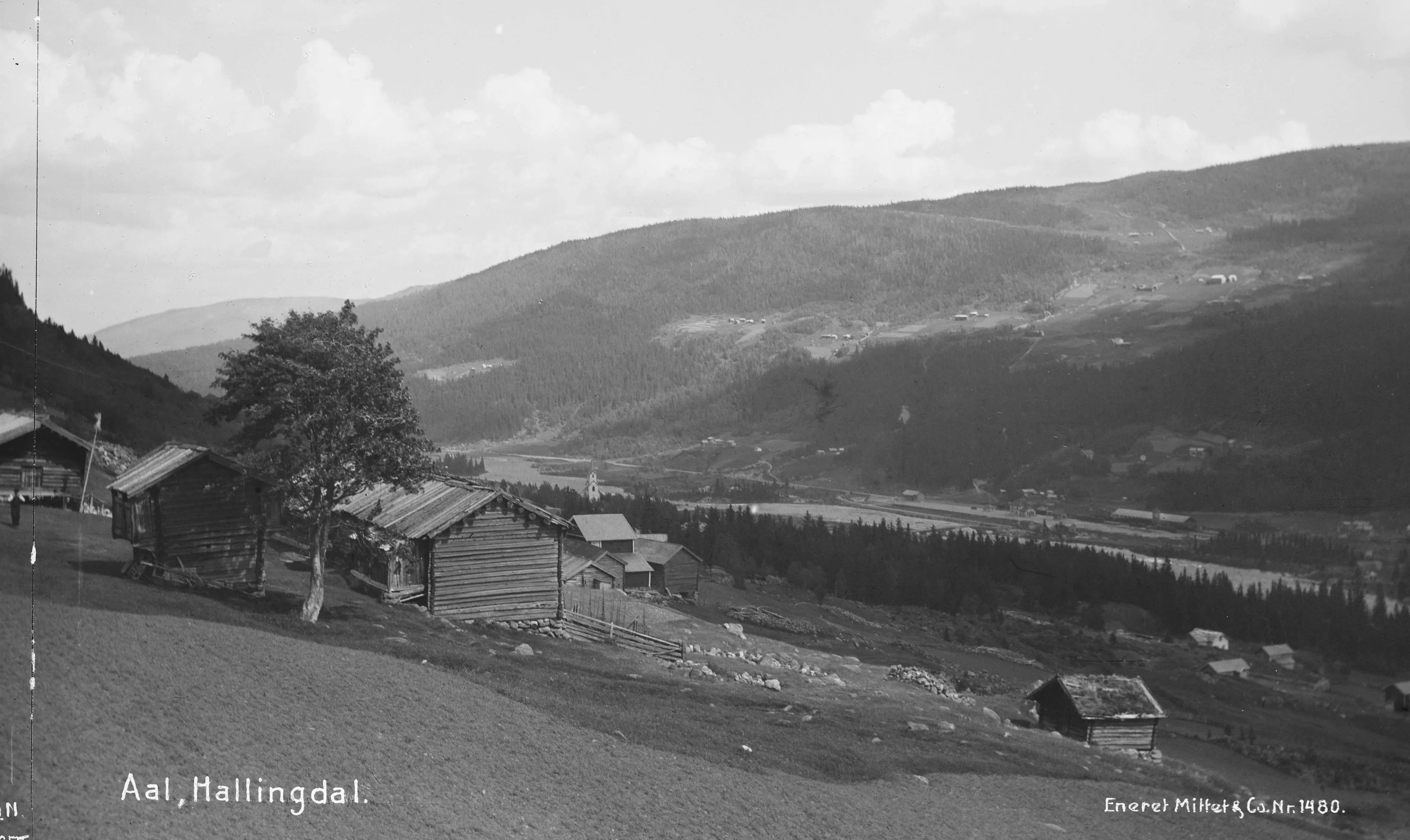 Hallingdal, ca. 1900.
