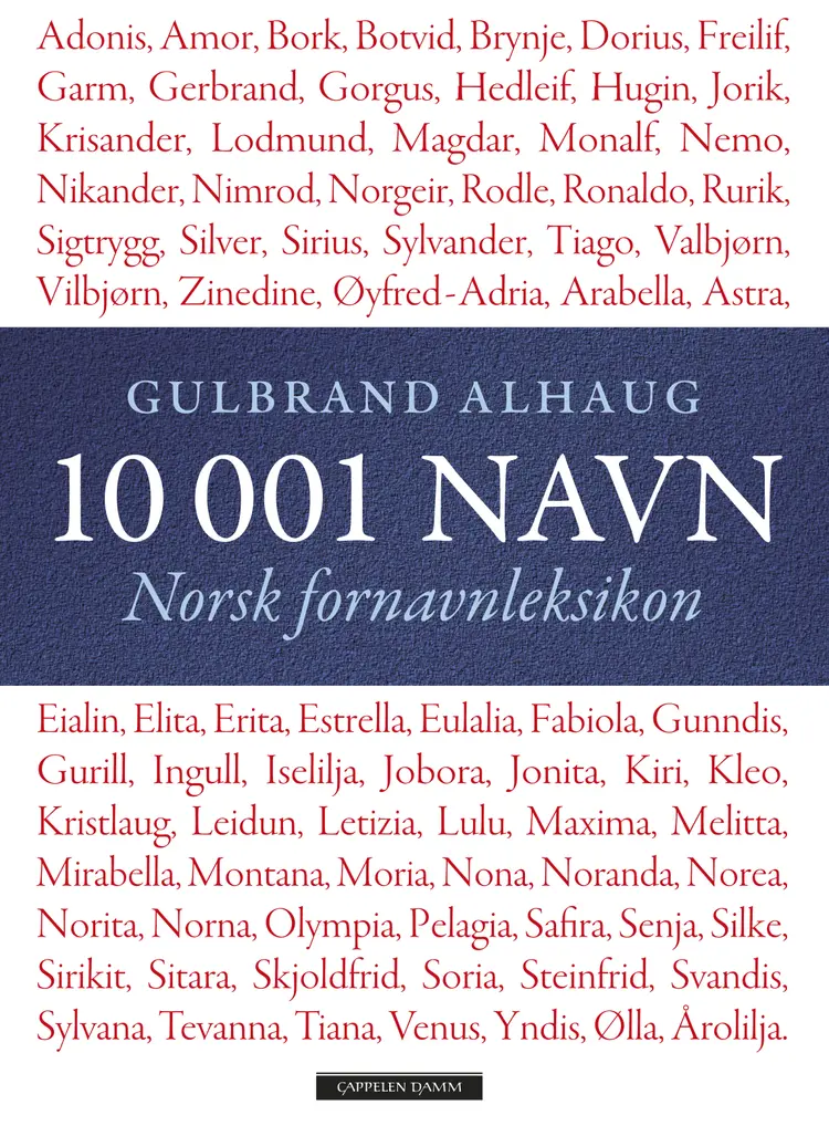 Omslag 10 001 navn av Gulbrand Alhaug (Innbundet)