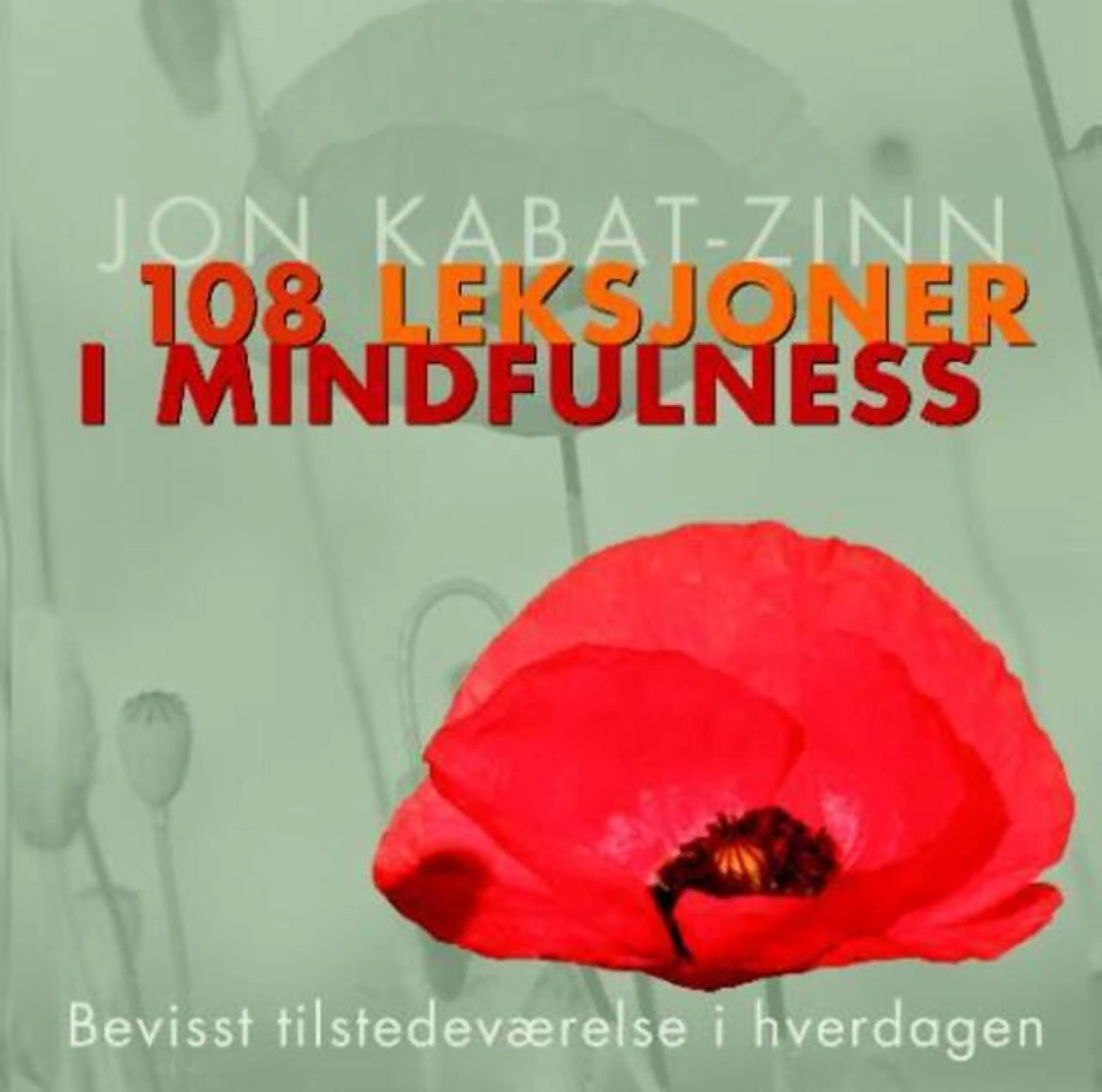 Omslag 108 leksjoner i mindfulness av Jon Kabat-Zinn (Heftet)