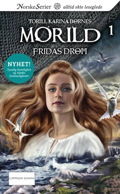 Omslag Fridas drøm av Torill Karina Børnes (Ebok)