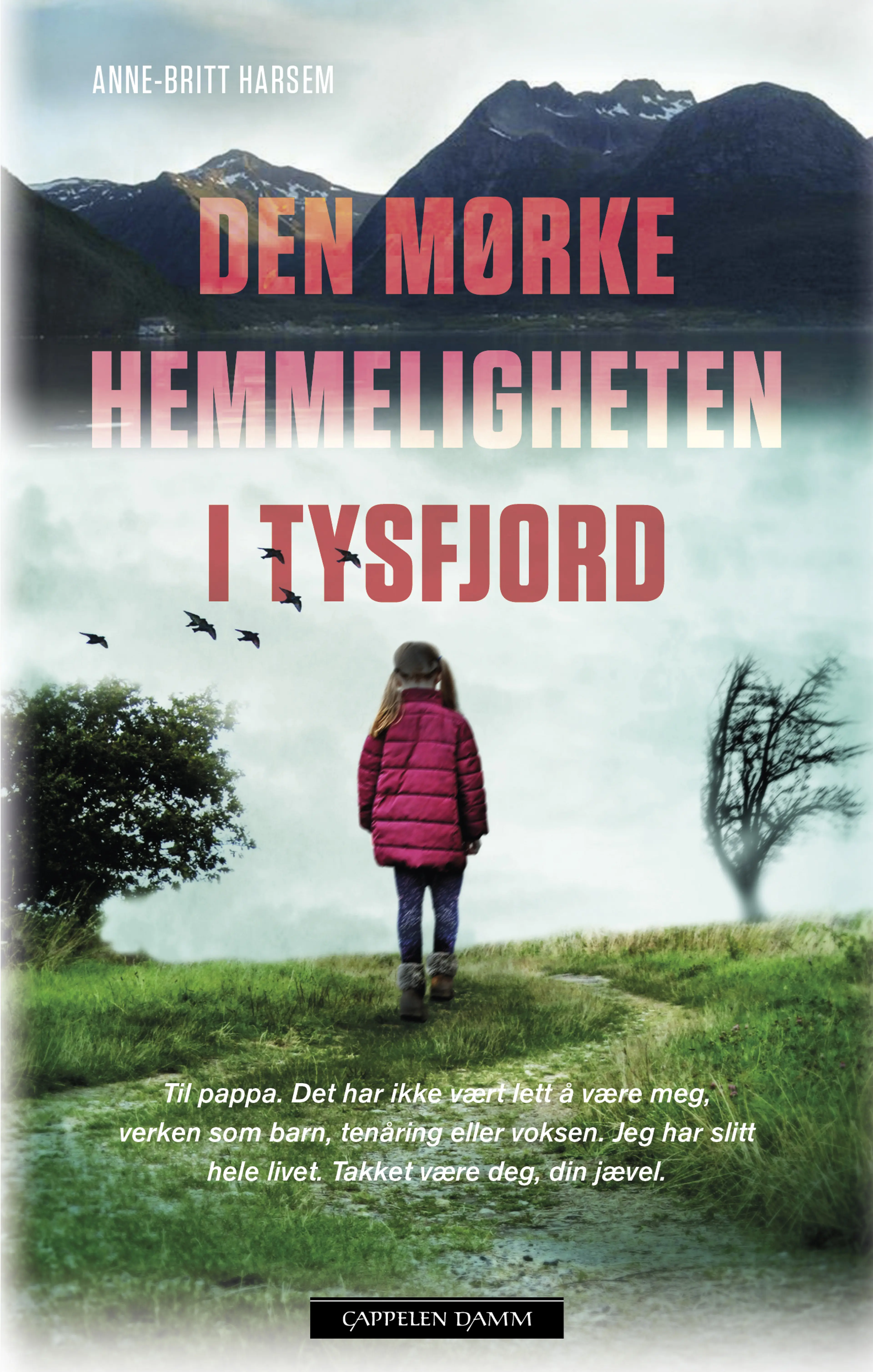Omslag Den mørke hemmeligheten i Tysfjord av Anne-Britt Harsem (Ebok)