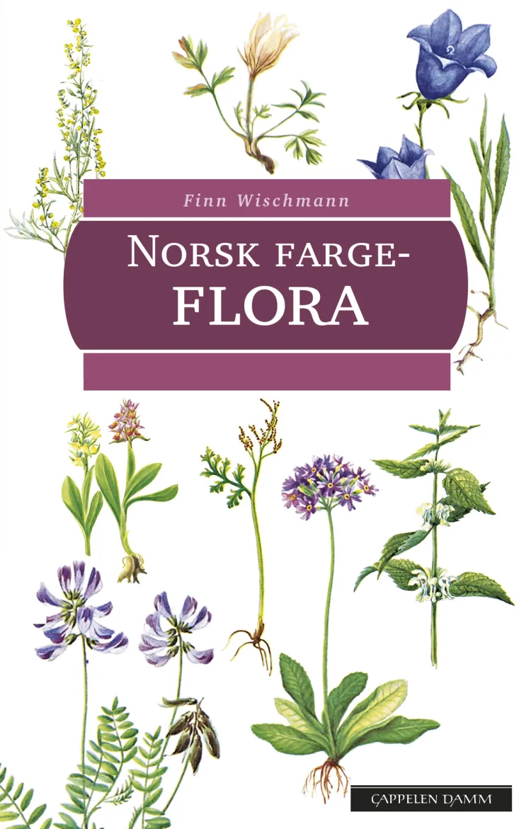 Omslag Norsk fargeflora av Finn Wischmann (Innbundet)