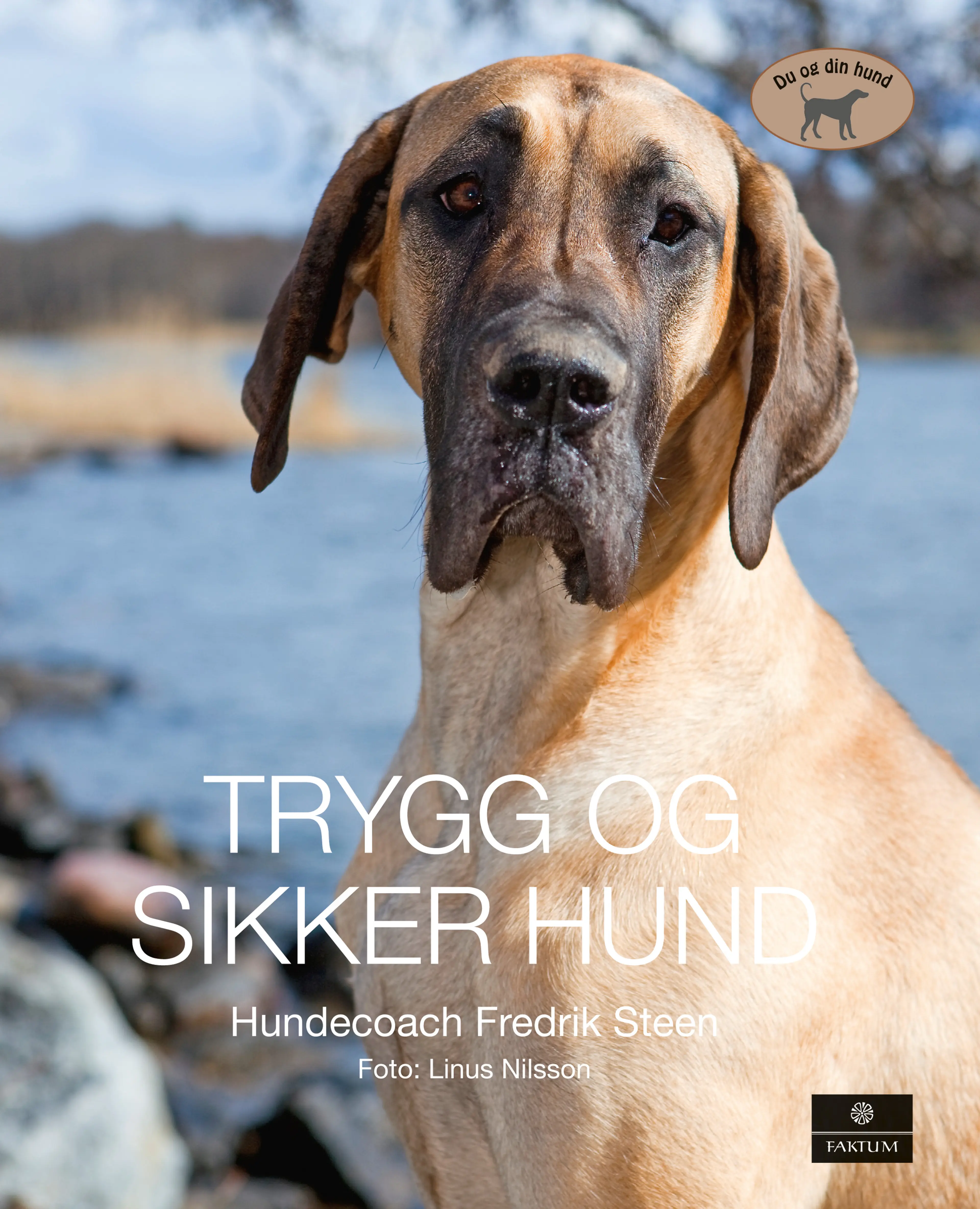Omslag Trygg og sikker hund (Innbundet)