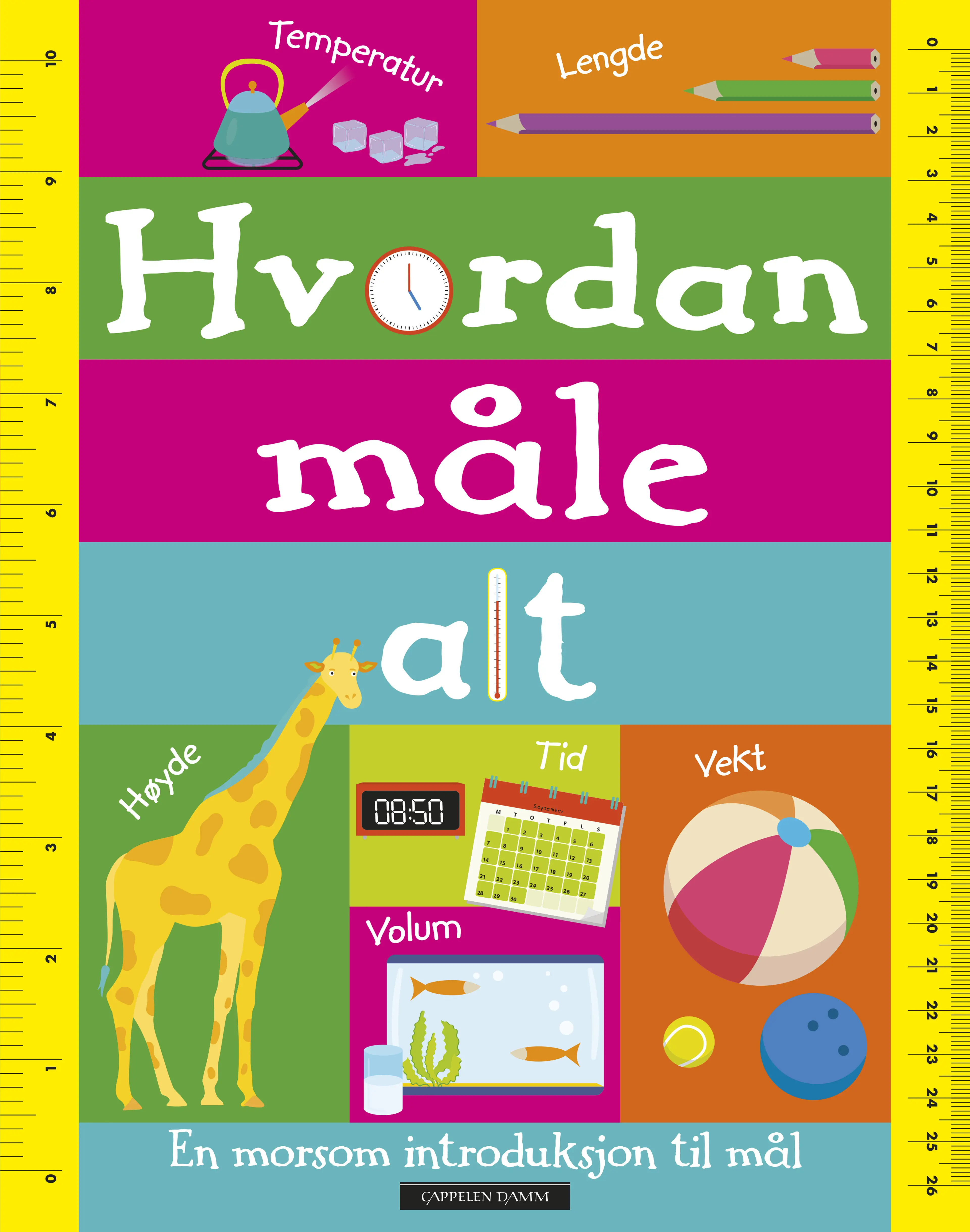 Omslag Hvordan måle alt av Sean McArdle (Innbundet)