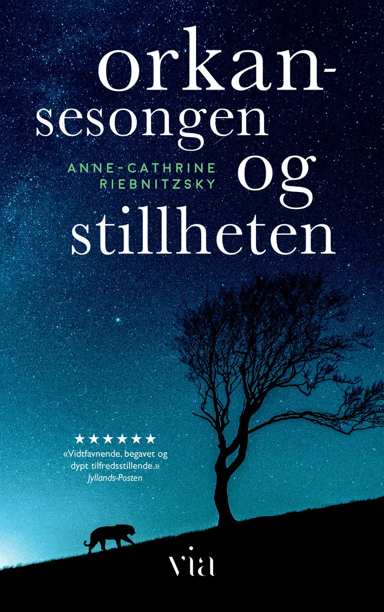 Omslag Orkansesongen og stillheten av Anne-Cathrine Riebnitzsky (Ebok)