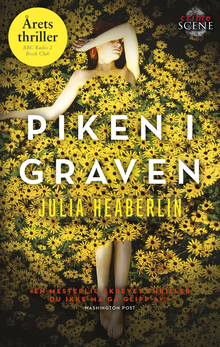 Omslag Piken i graven av Julia Heaberlin (Ebok)