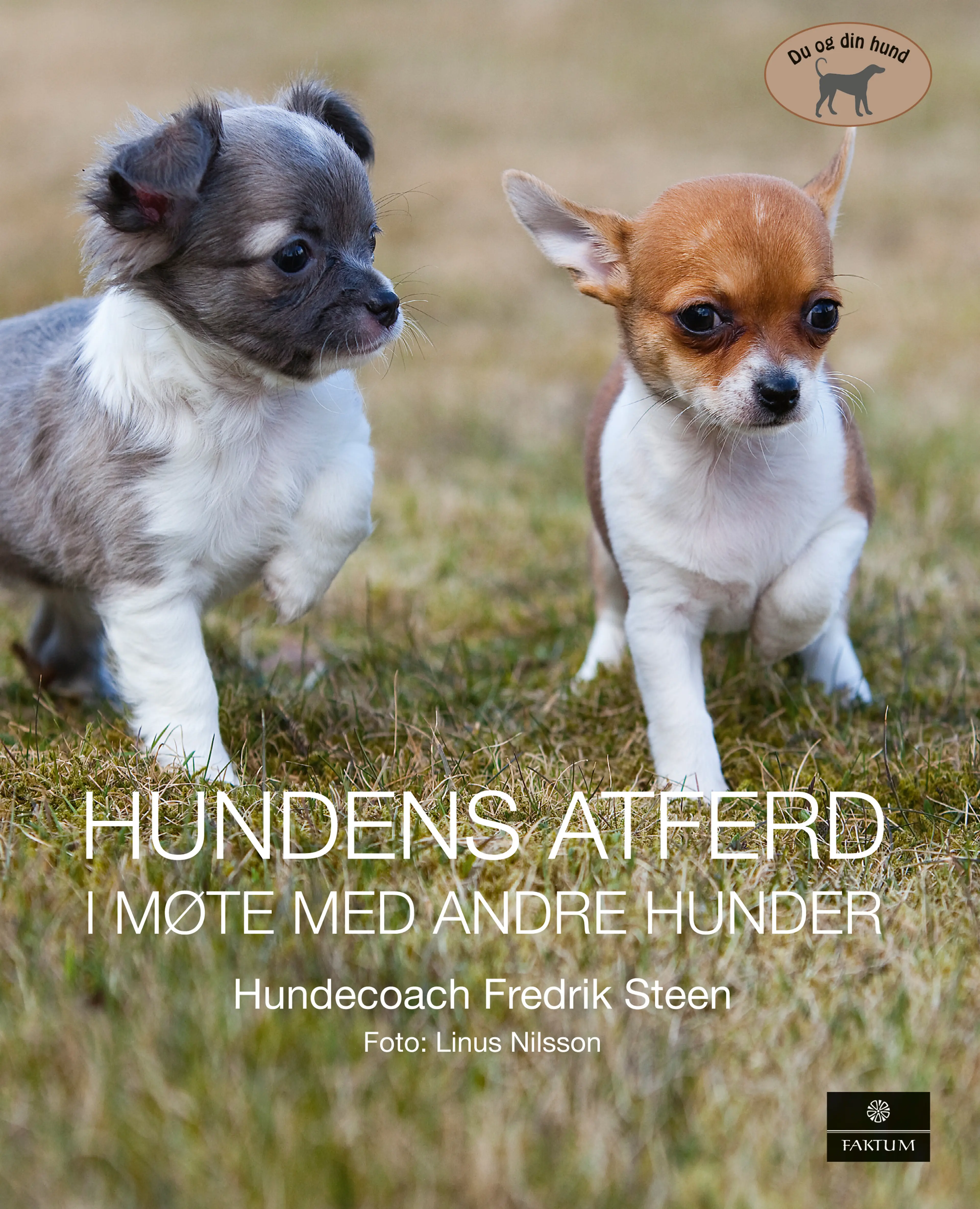 Omslag Hundens atferd i møte med andre hunder (Innbundet)