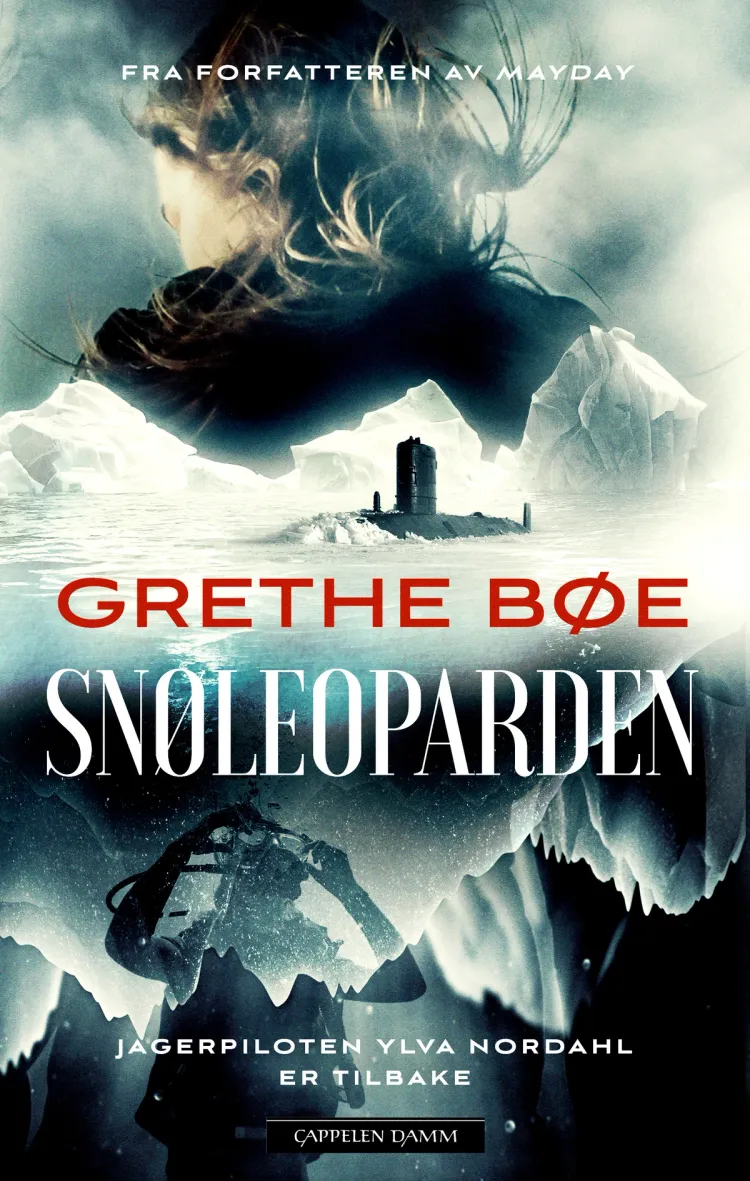 Omslag Snøleoparden av Grethe Bøe (Ebok)