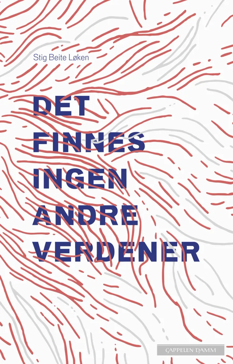 Omslag Det finnes ingen andre verdener av Stig Beite Løken (Ebok)