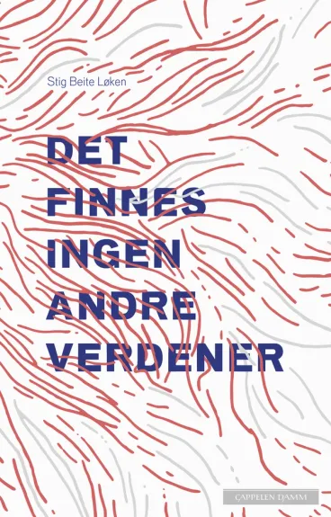 Omslag Det finnes ingen andre verdener av Stig Beite Løken (Innbundet)