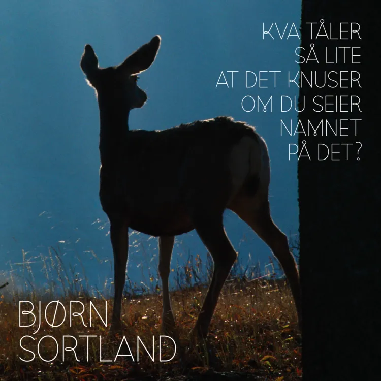 Omslag Kva tåler så lite at det knuser om du seier namnet på det? av Bjørn Sortland (Lydbok)
