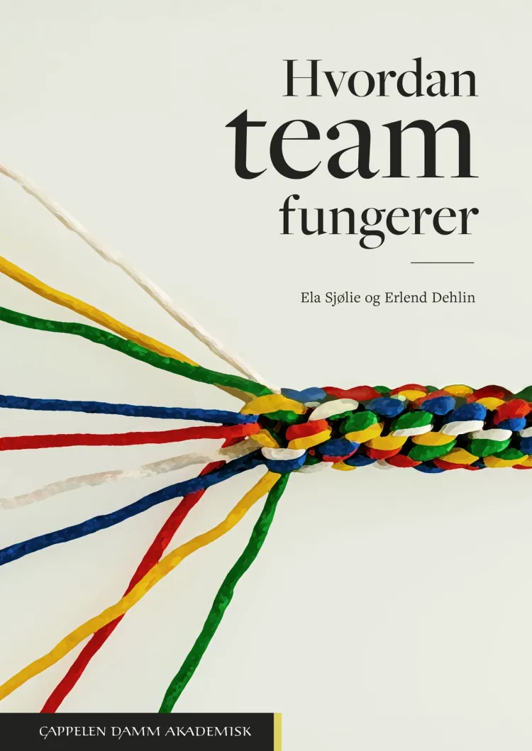 Omslag Hvordan team fungerer av Ela Sjølie og Erlend Dehlin (Heftet)