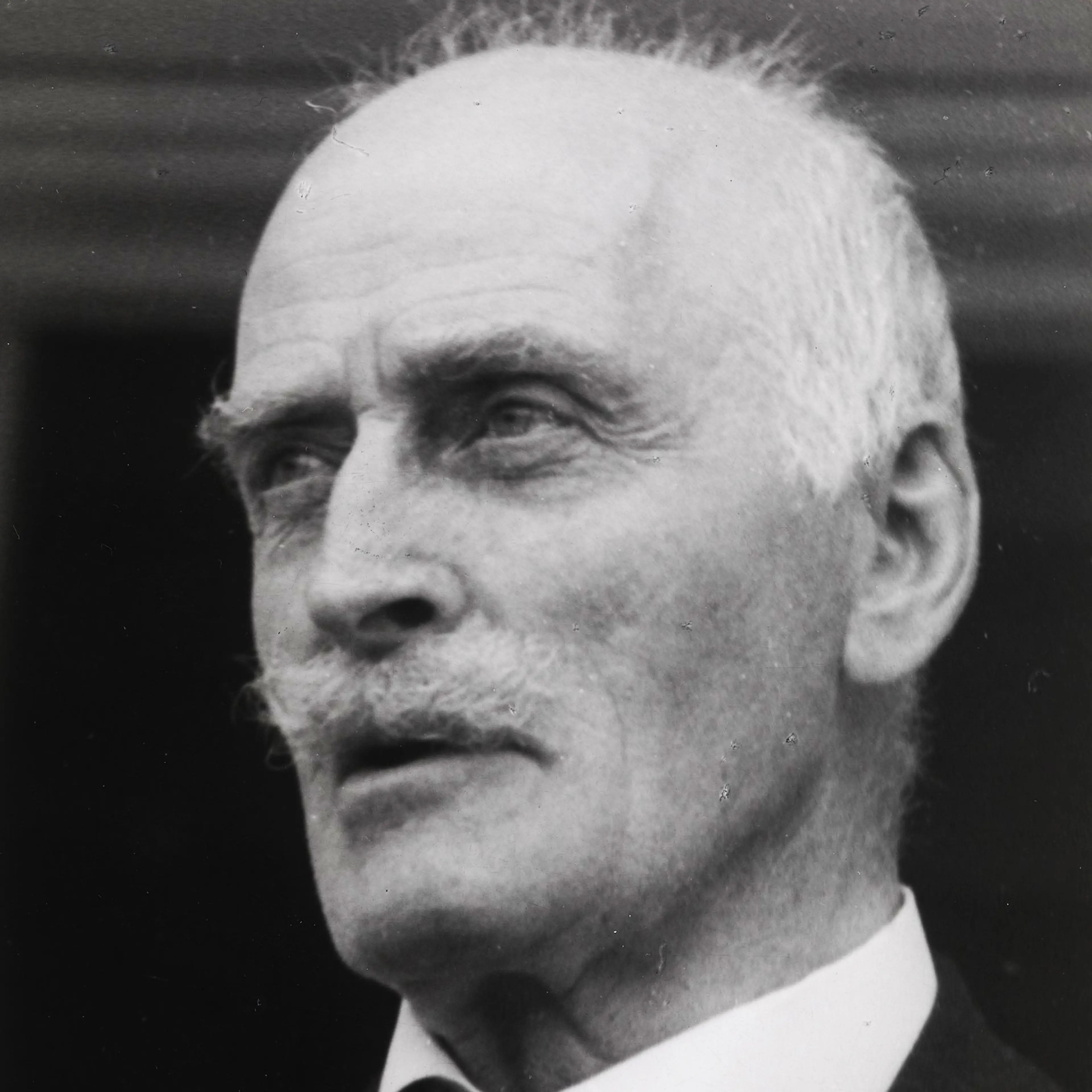 Bidragsyter Knut Hamsun