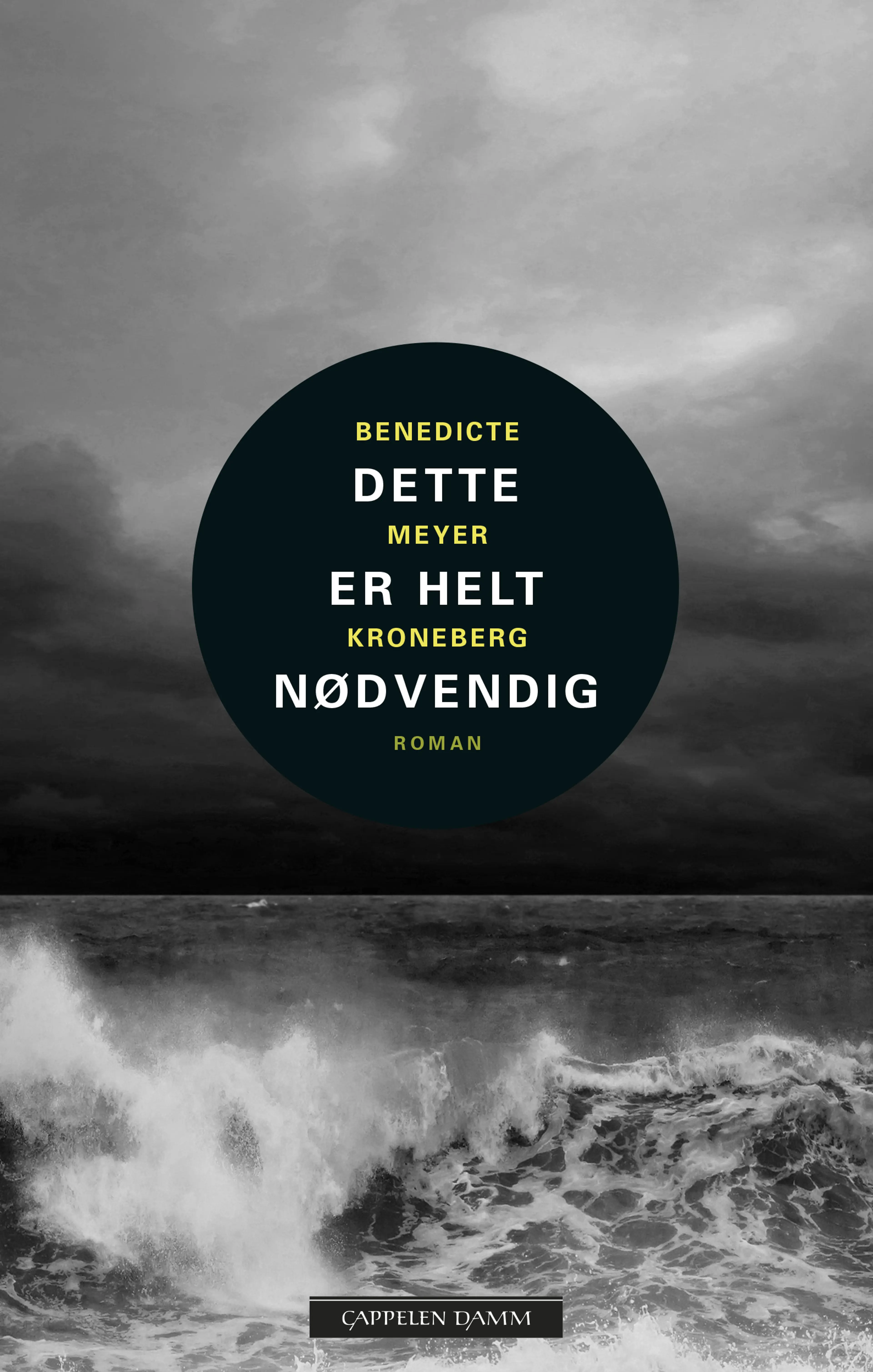 Omslag Dette er helt nødvendig av Benedicte Meyer Kroneberg (Innbundet)