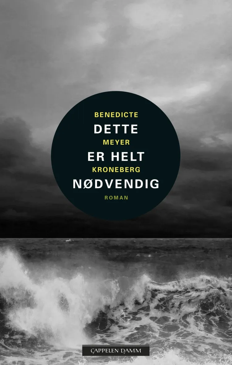 Omslag Dette er helt nødvendig av Benedicte Meyer Kroneberg (Innbundet)