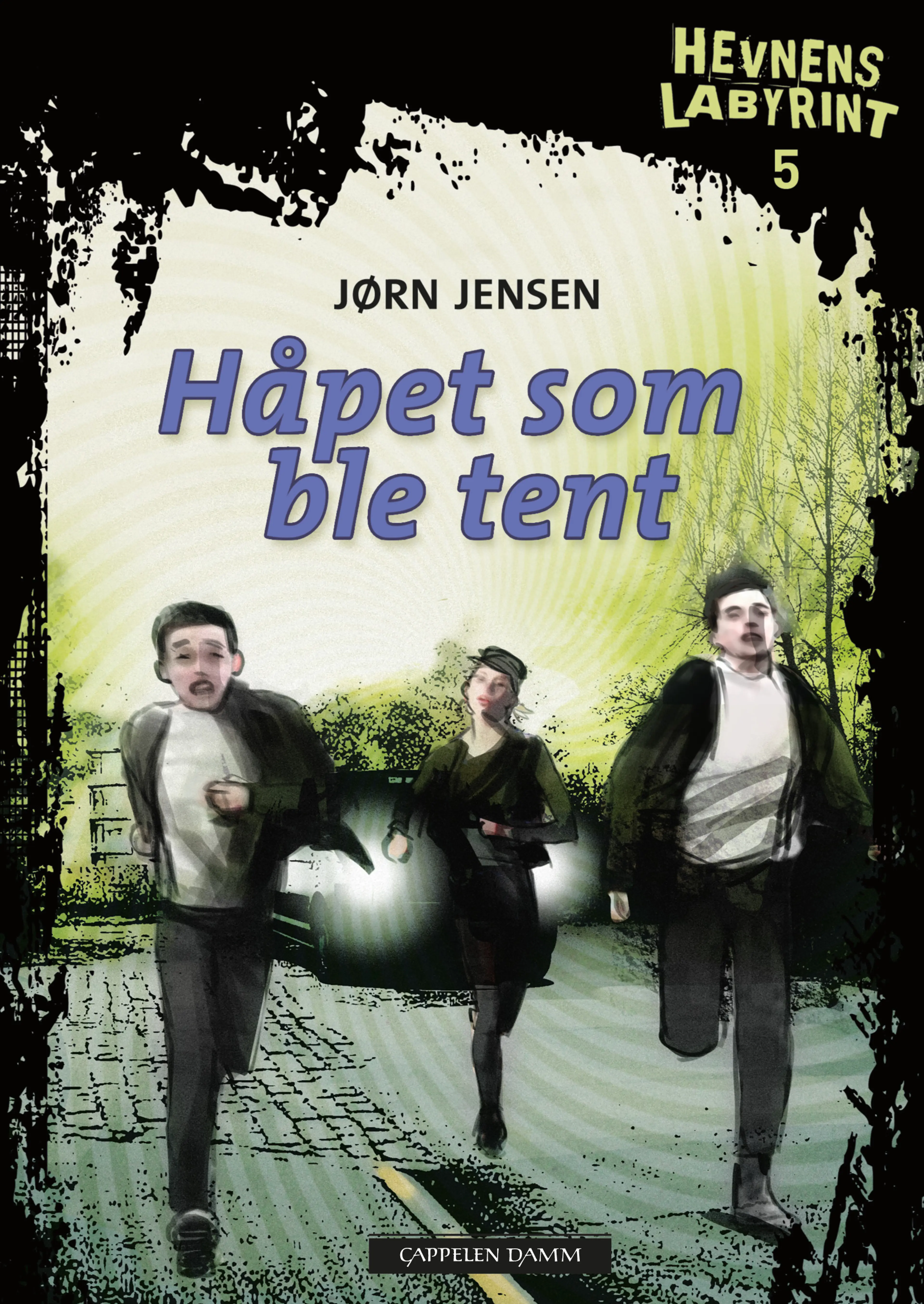 Omslag Hevnens labyrint 5 Håpet som ble tent av Jørn Jensen (Heftet)