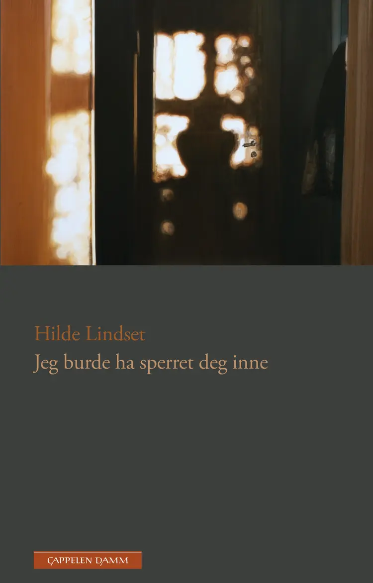 Omslag Jeg burde ha sperret deg inne av Hilde Lindset (Ebok)