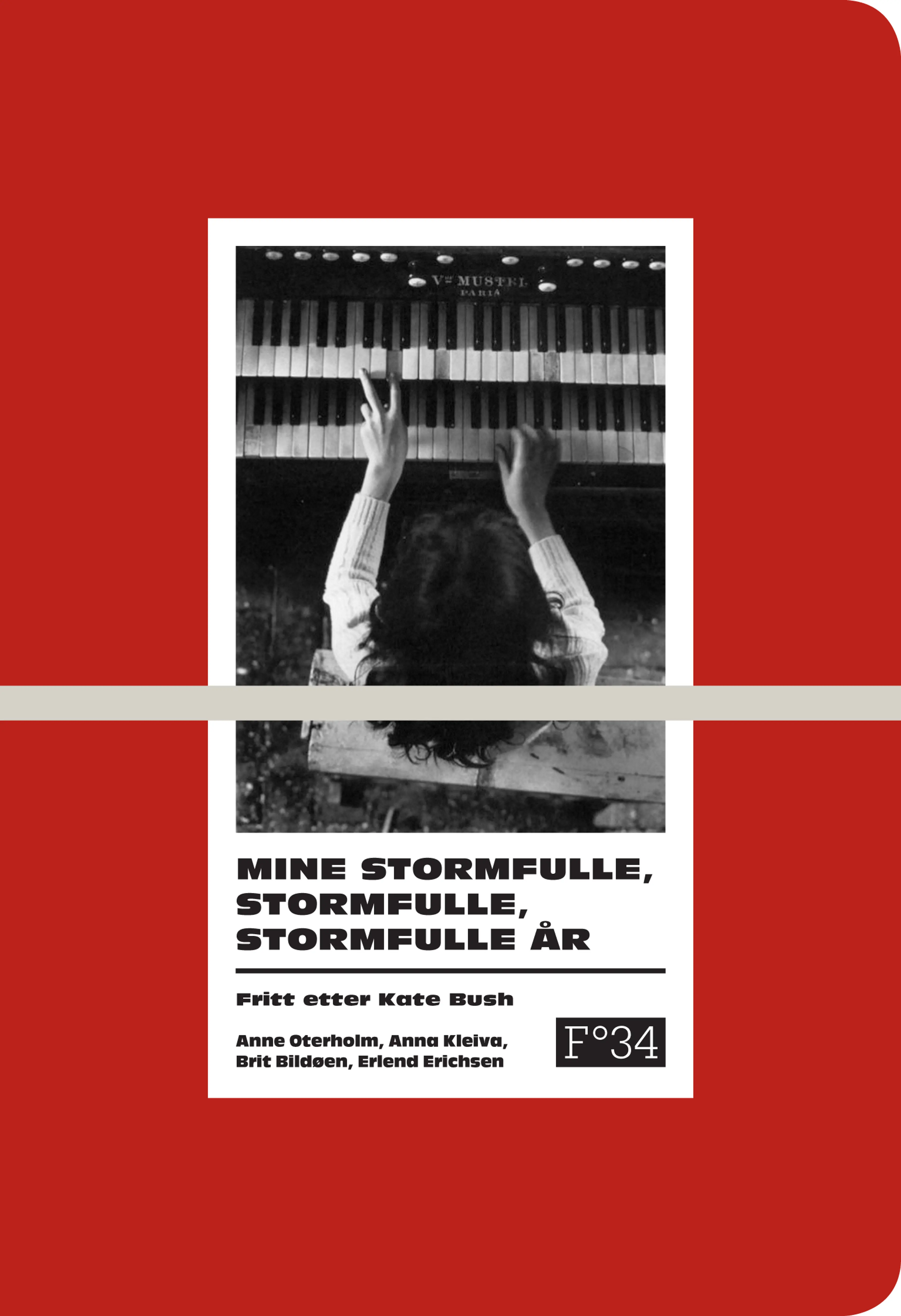 Omslag Mine stormfulle, stormfulle, stormfulle år (Heftet)