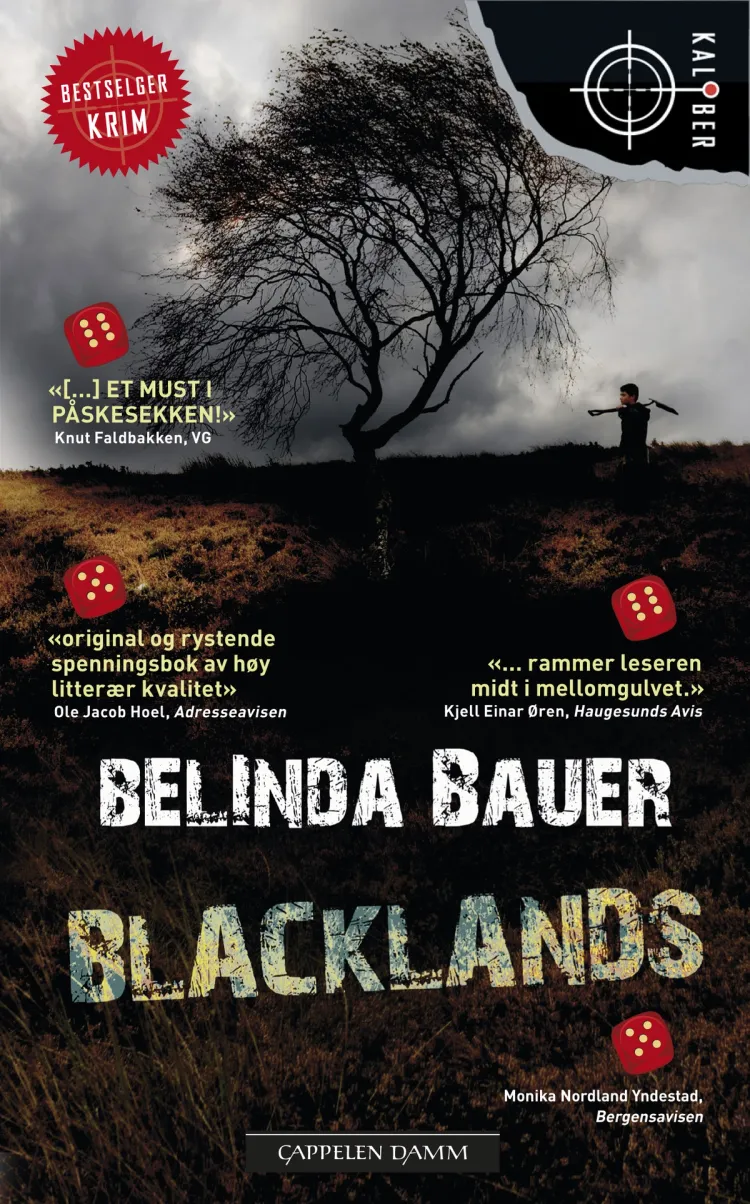 Omslag Blacklands av Belinda Bauer (Heftet)