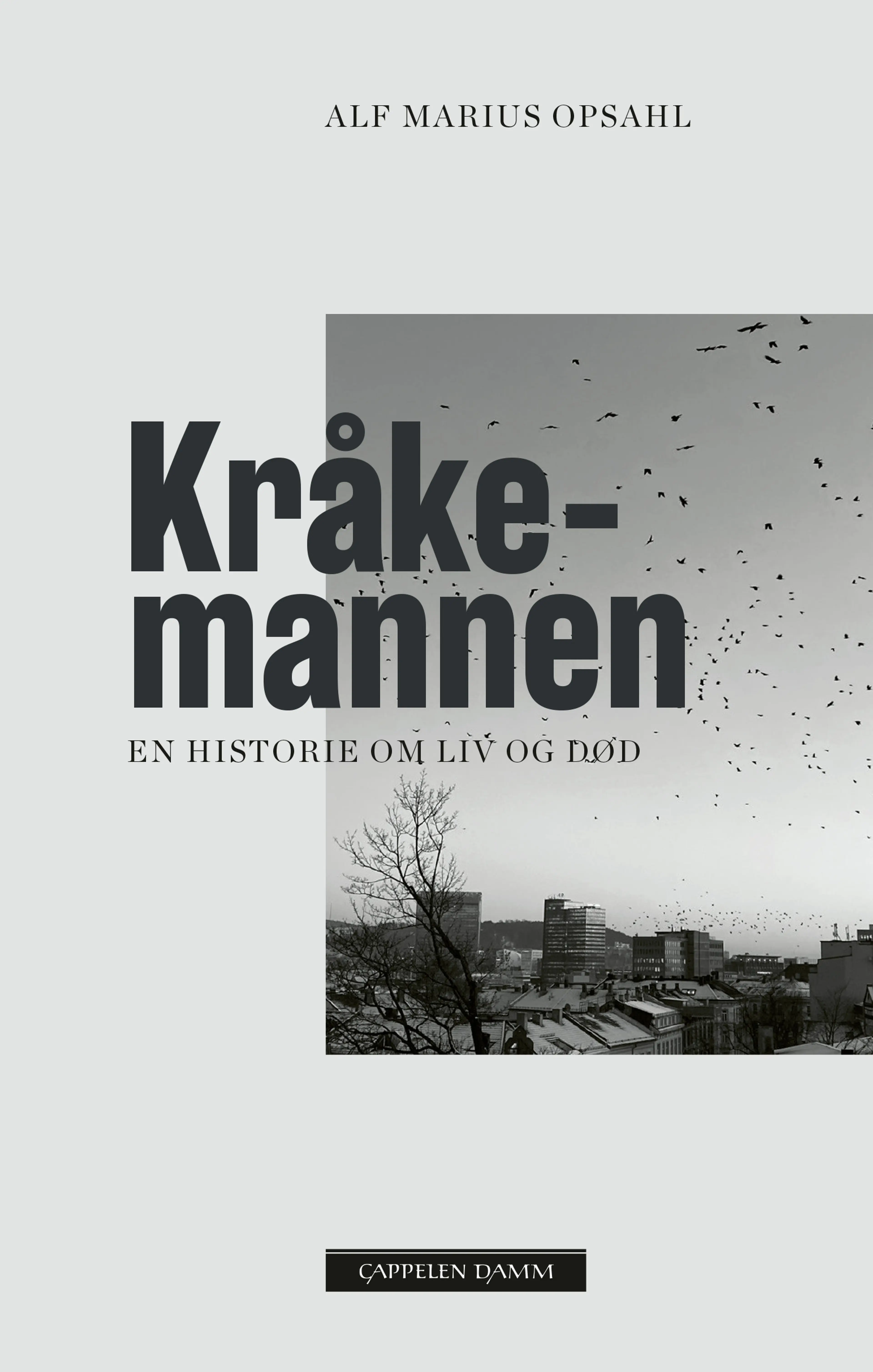 Omslag Kråkemannen av Alf Marius Opsahl (Ebok)