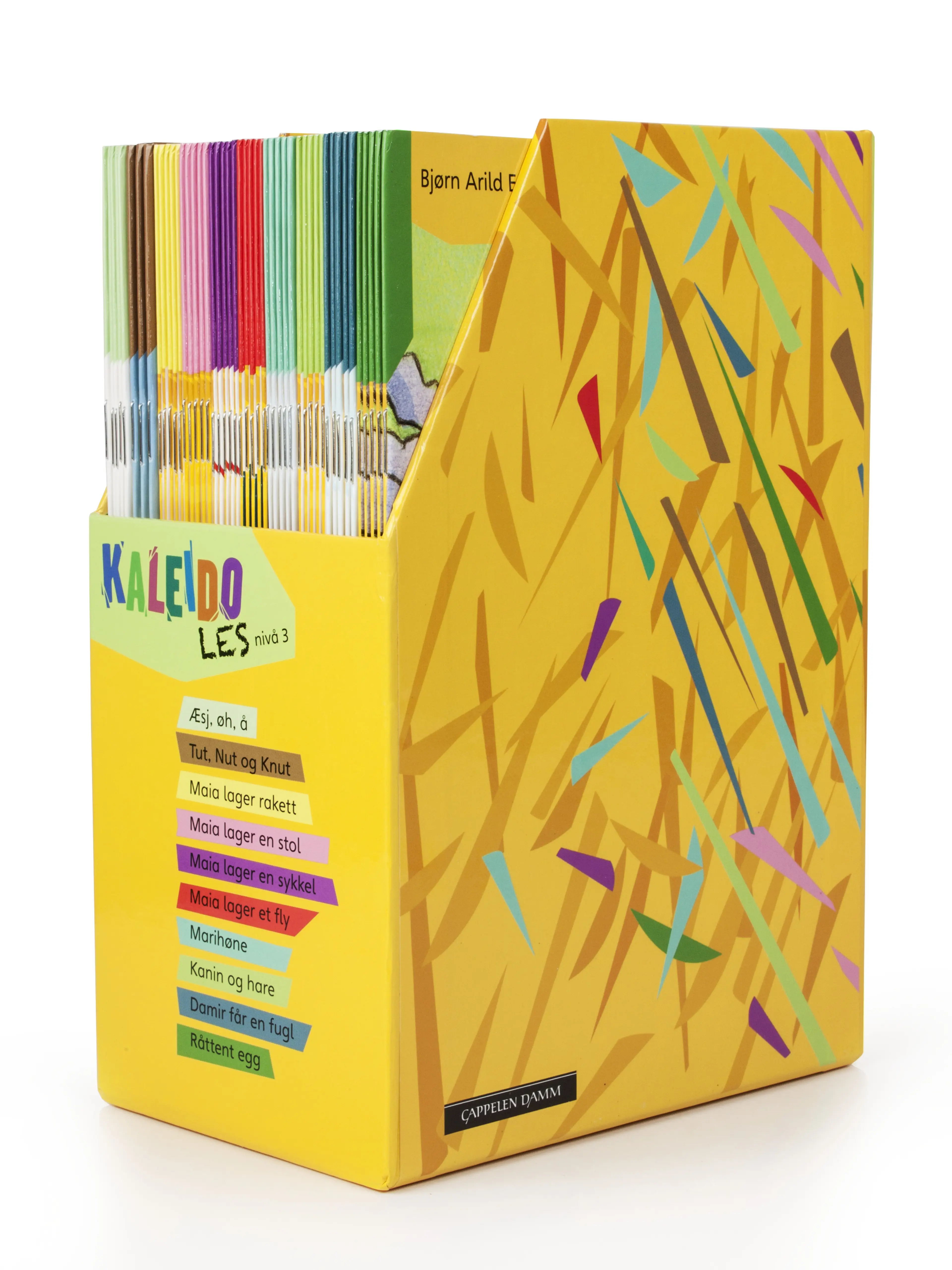 Omslag Kaleido Les Nivå 3 (boks) av Bjørn Arild Ersland og Janne Aasebø Johnsen (Eske)