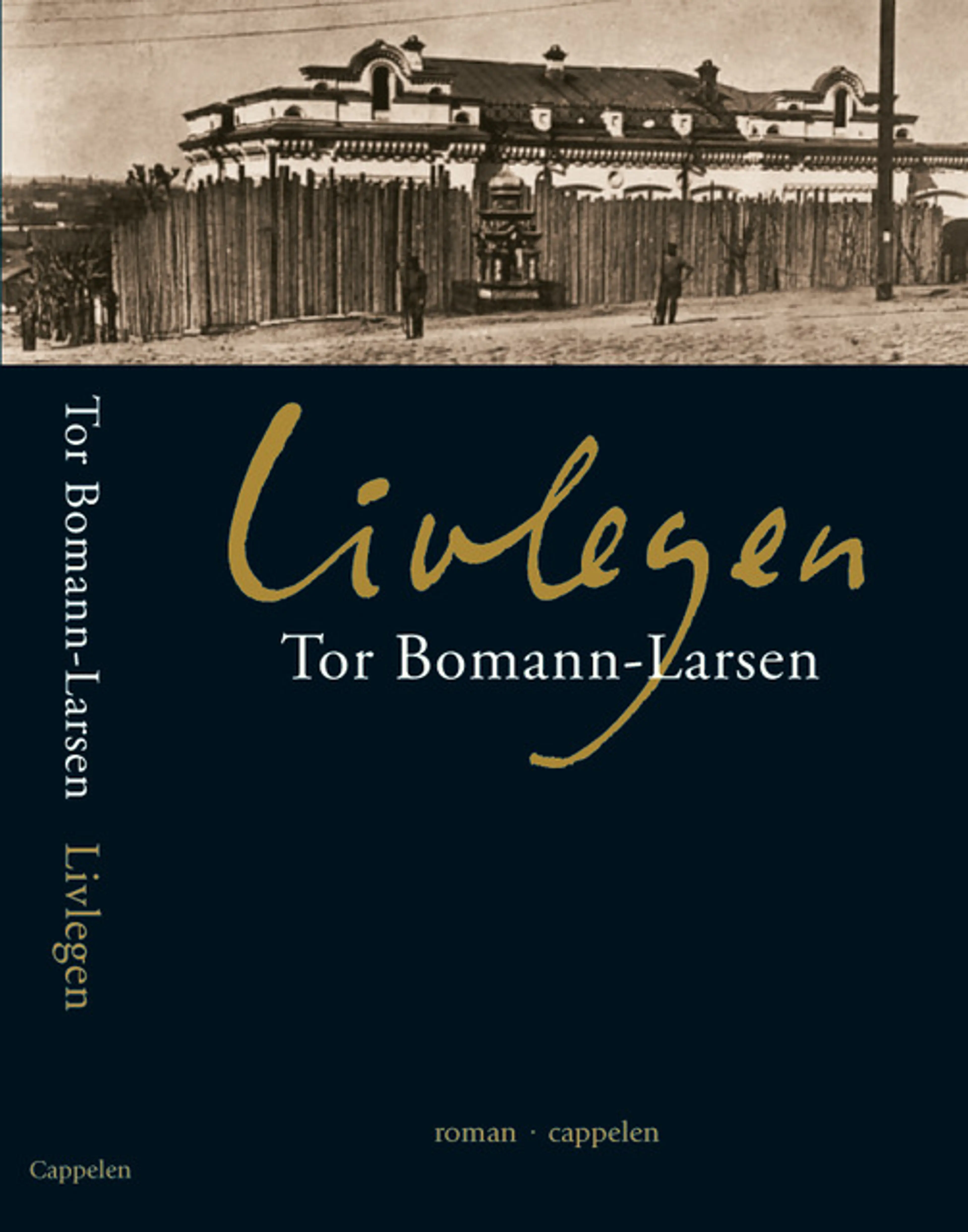 Omslag Livlegen av Tor Bomann-Larsen (Innbundet)