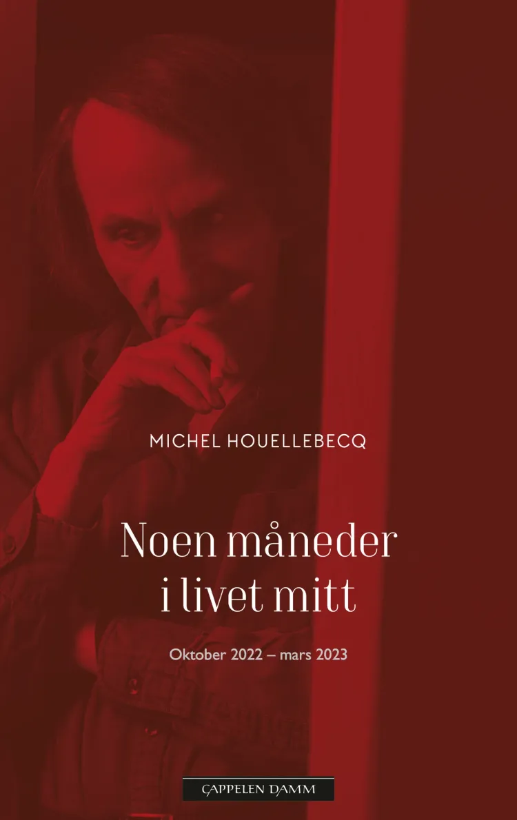 Omslag Noen måneder i livet mitt av Michel Houellebecq (Innbundet)