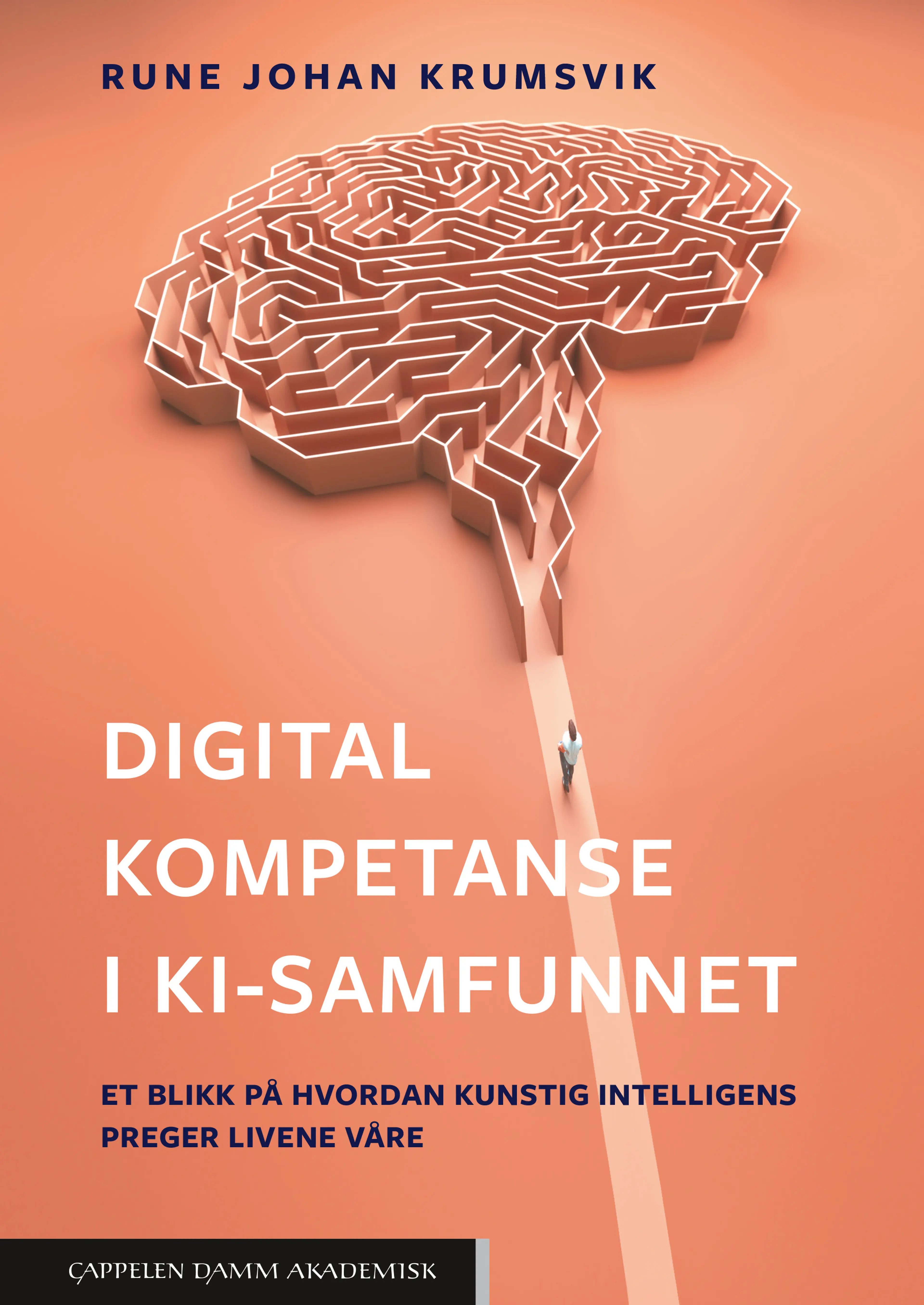 Omslag Digital kompetanse i KI-samfunnet av Rune Johan Krumsvik (Heftet)
