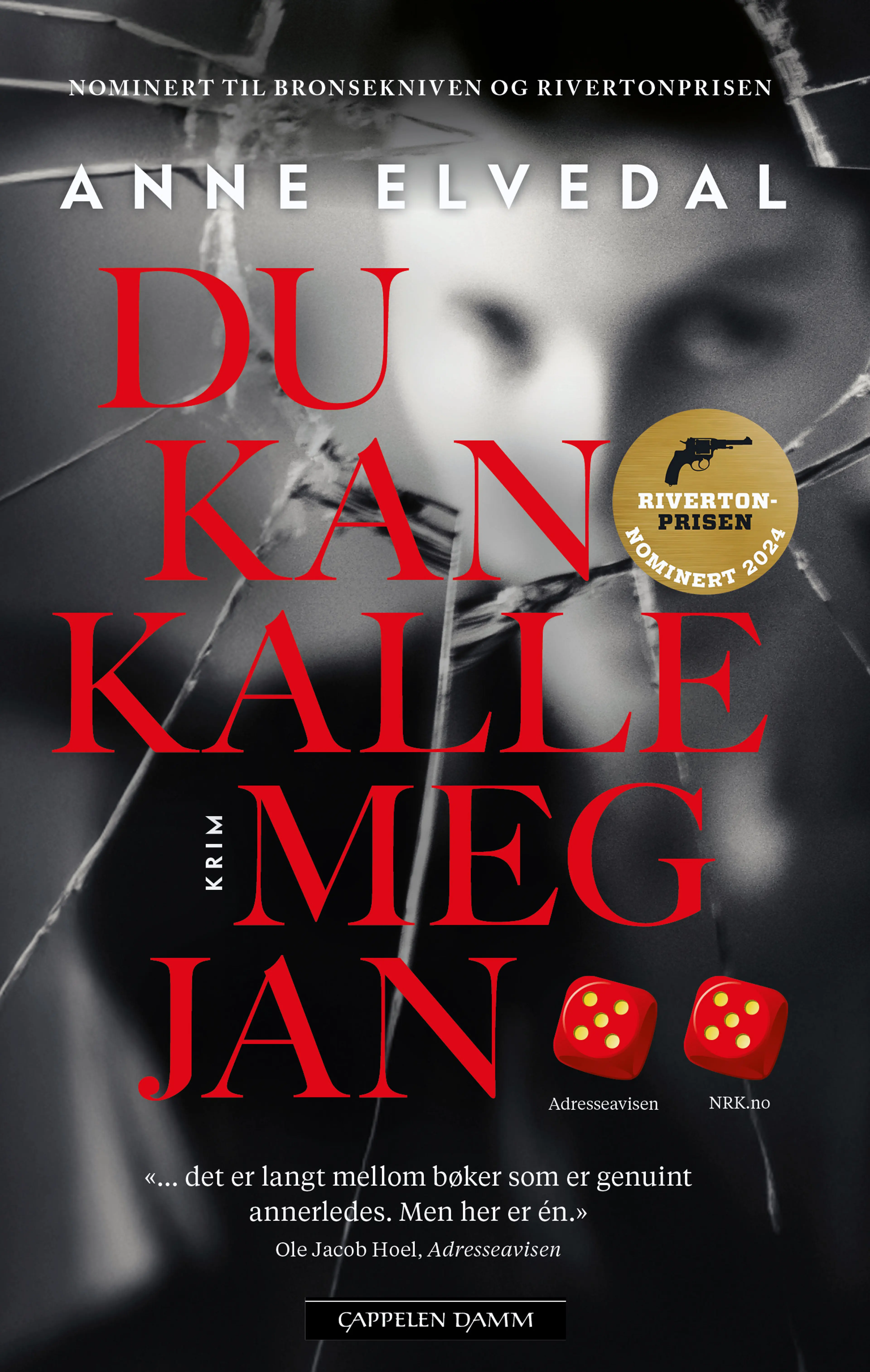 Omslag Du kan kalle meg Jan av Anne Elvedal (Heftet)