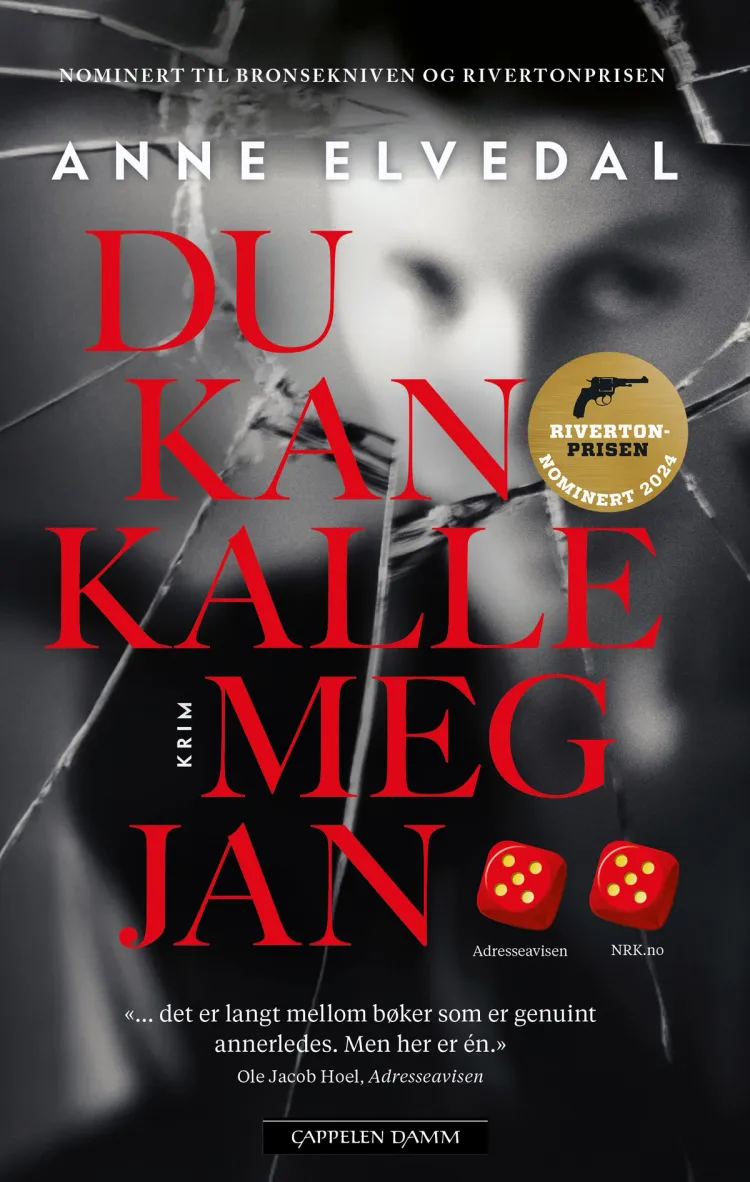 Omslag Du kan kalle meg Jan av Anne Elvedal (Heftet)