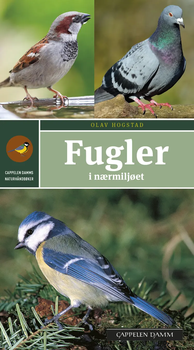 Omslag Fugler i nærmiljøet av Olav Hogstad (Heftet)