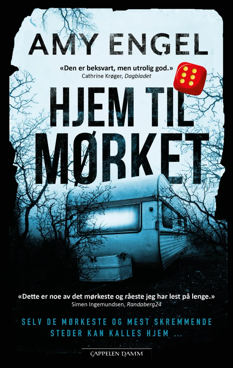 Omslag Hjem til mørket av Amy Engel (Heftet)