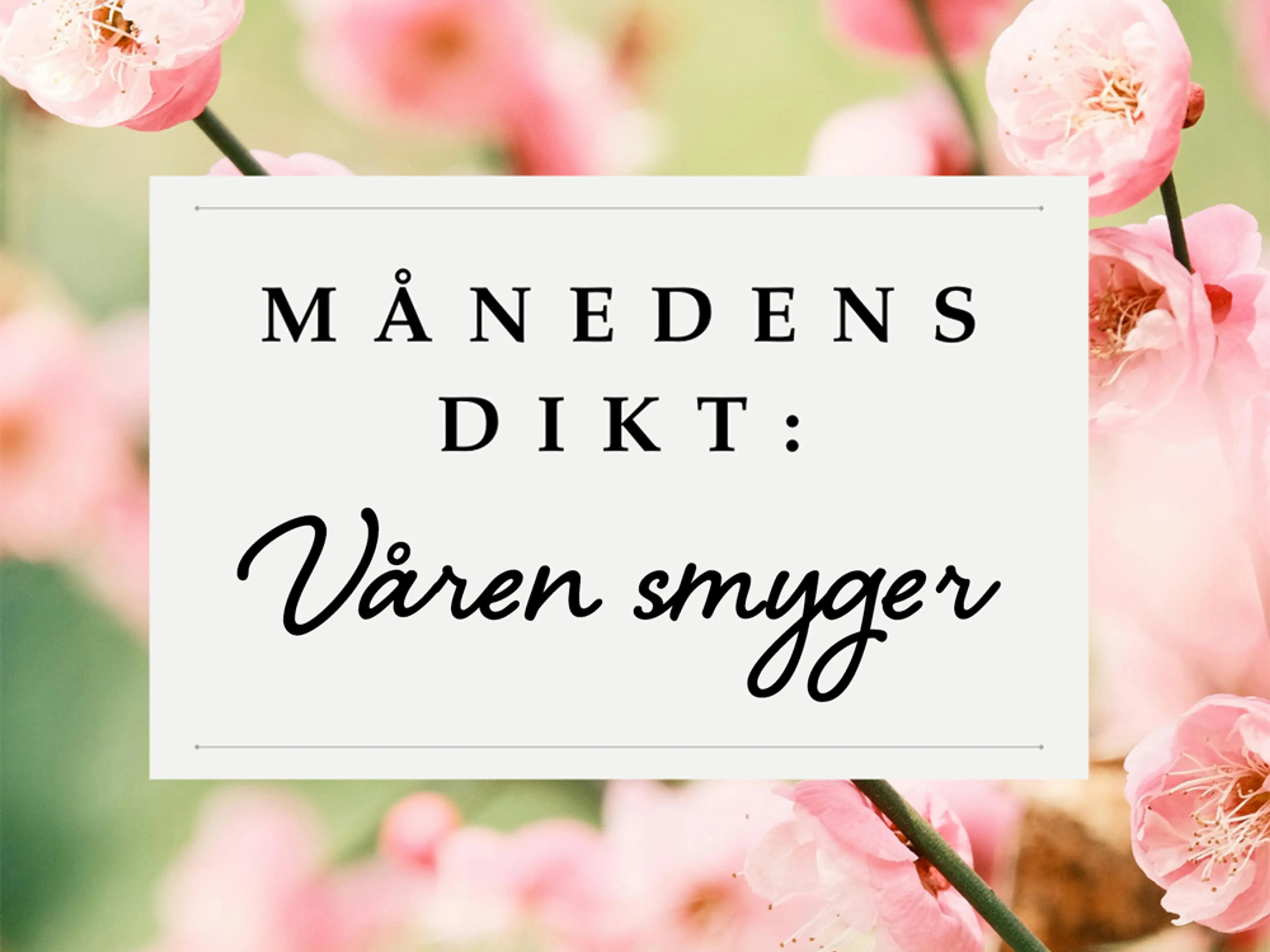 Månedens dikt