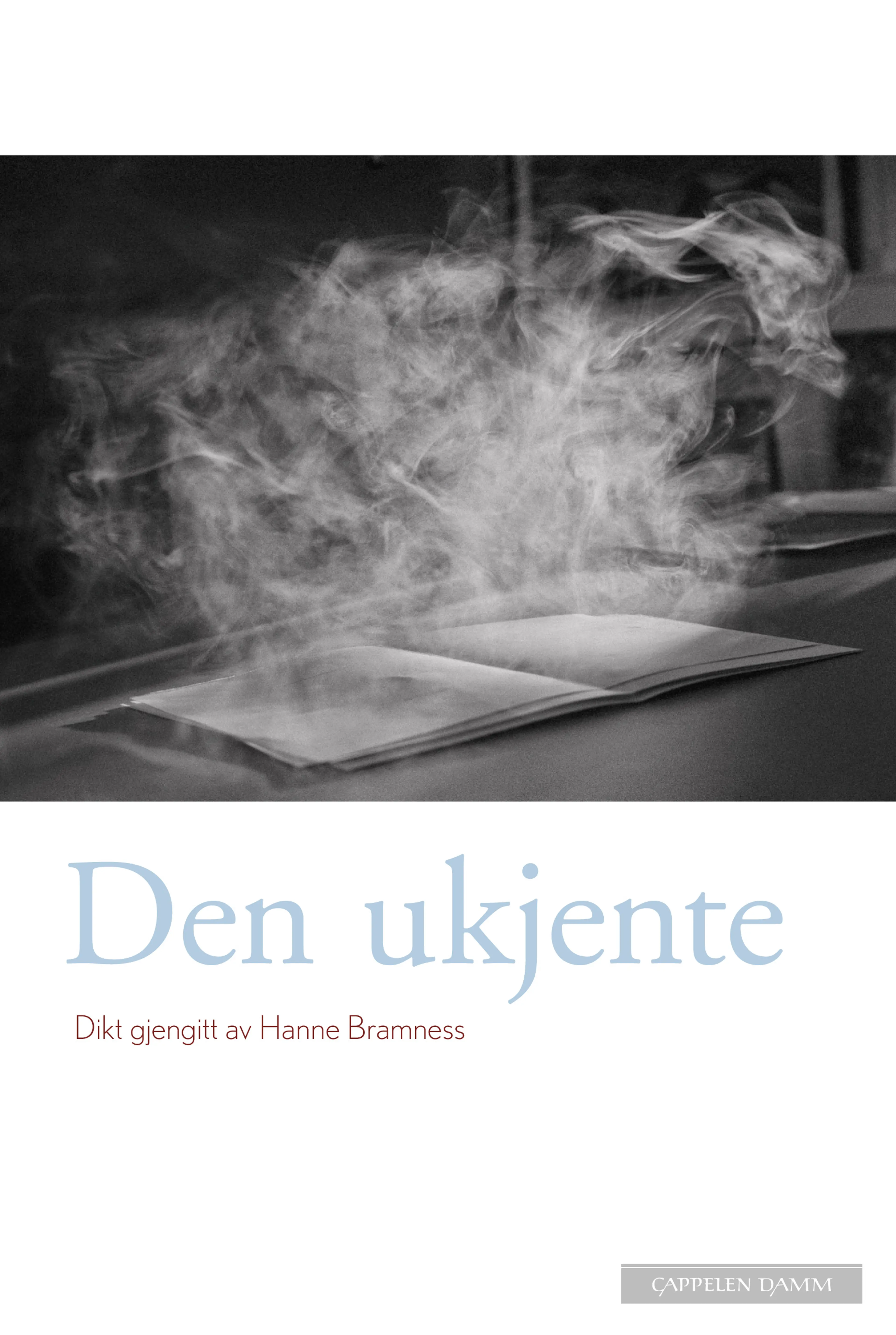 Omslag Den ukjente av Hanne Bramness (Innbundet)