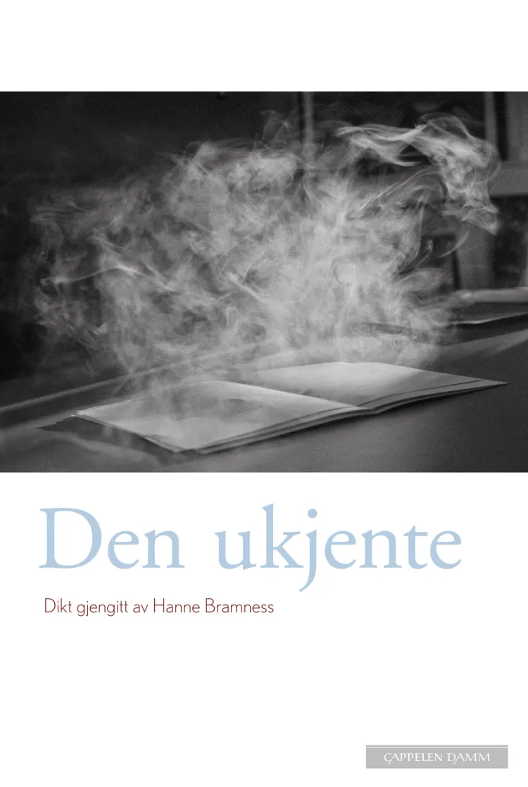 Omslag Den ukjente av Hanne Bramness (Innbundet)