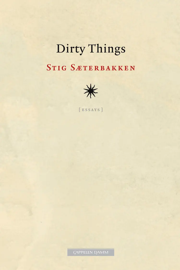 Omslag Dirty Things av Stig Sæterbakken (Heftet)