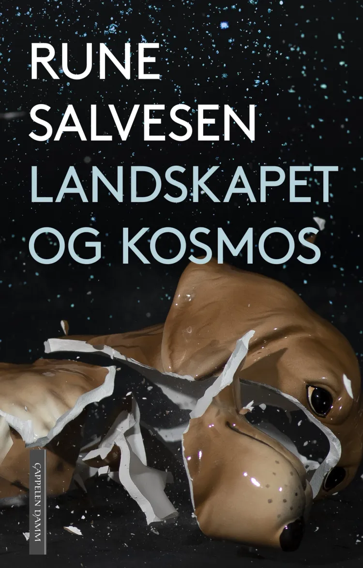 Omslag Landskapet og kosmos av Rune Salvesen (Innbundet)