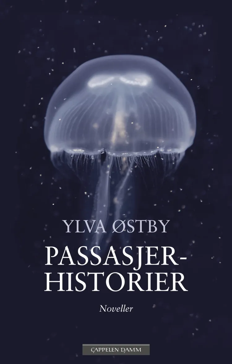 Omslag Passasjerhistorier av Ylva Østby (Ebok)
