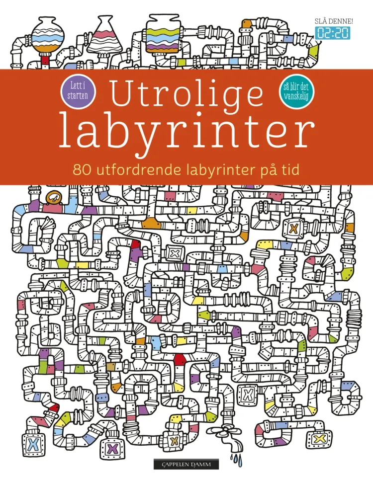 Omslag Utrolige labyrinter (Innbundet)