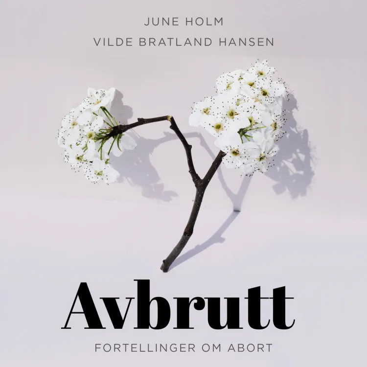 Omslag Avbrutt - fortellinger om abort av Vilde Bratland Hansen og June Holm (Lydbok)