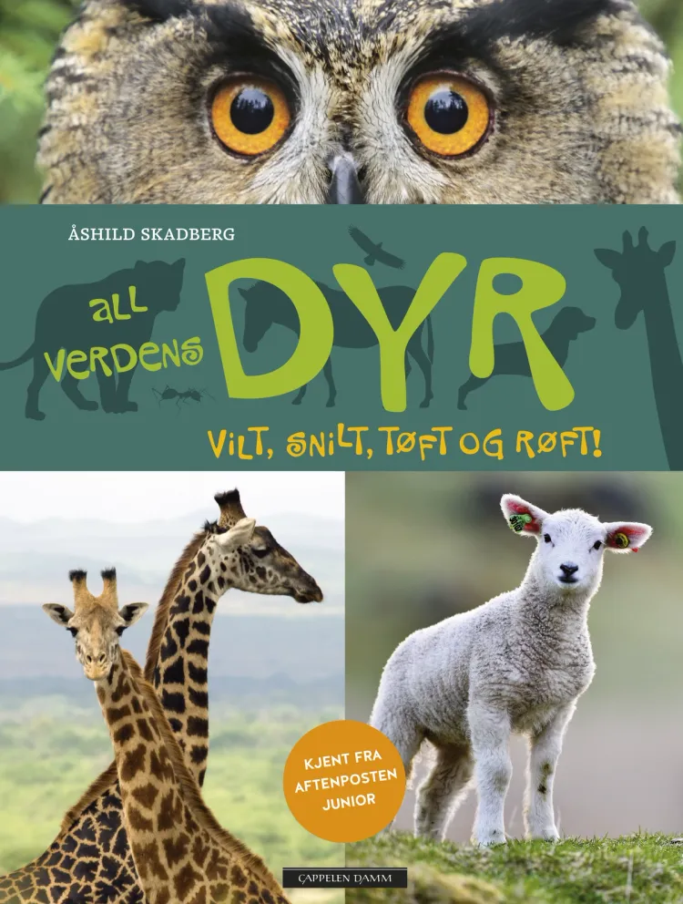 Omslag All verdens dyr av Åshild Skadberg (Innbundet)
