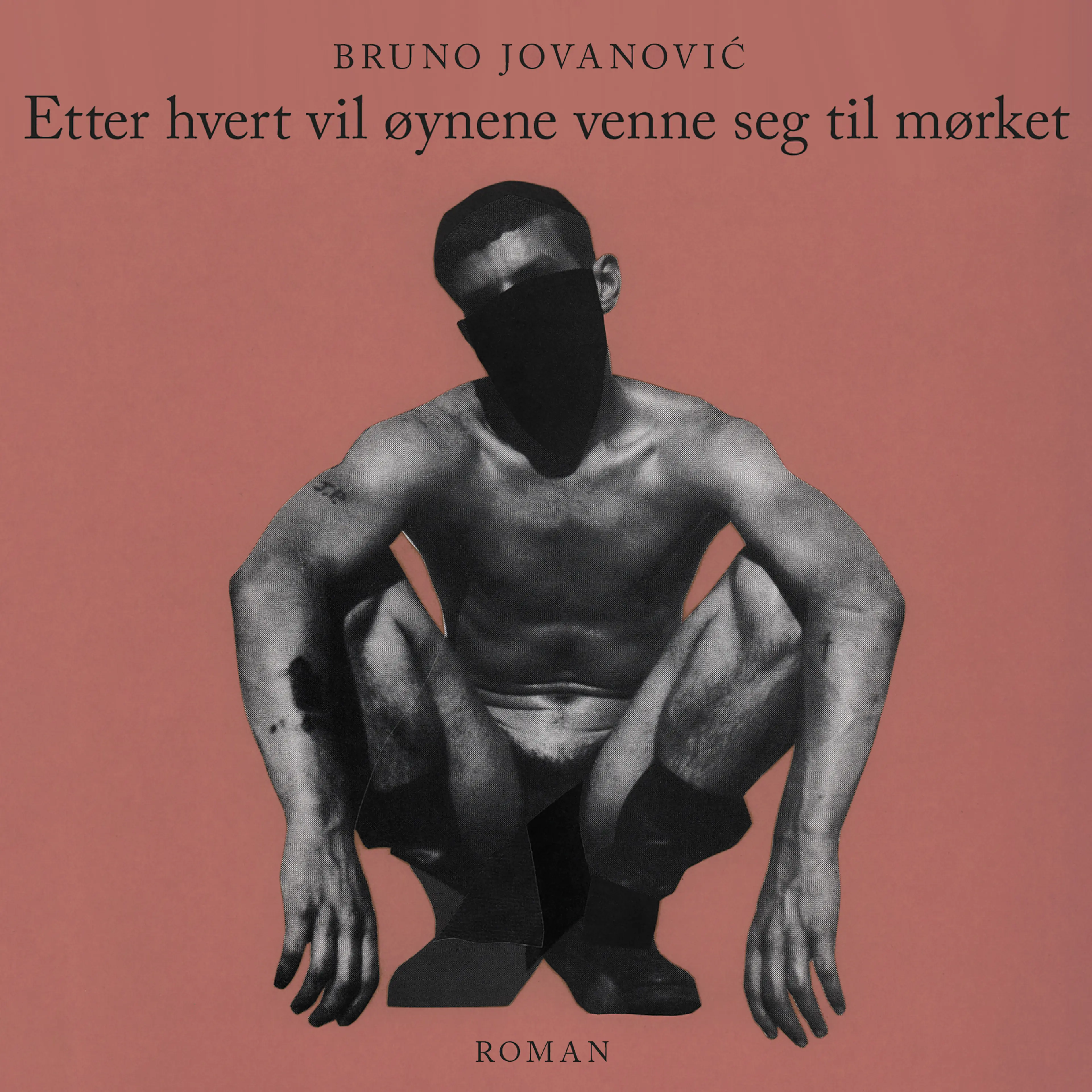 Omslag Etter hvert vil øynene venne seg til mørket av Bruno Jovanovic (Lydbok)