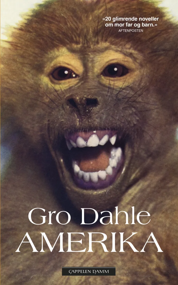 Omslag Amerika av Gro Dahle (Heftet)