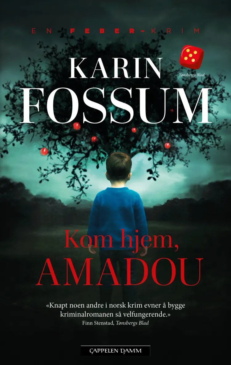Omslag Kom hjem, Amadou av Karin Fossum (Heftet)