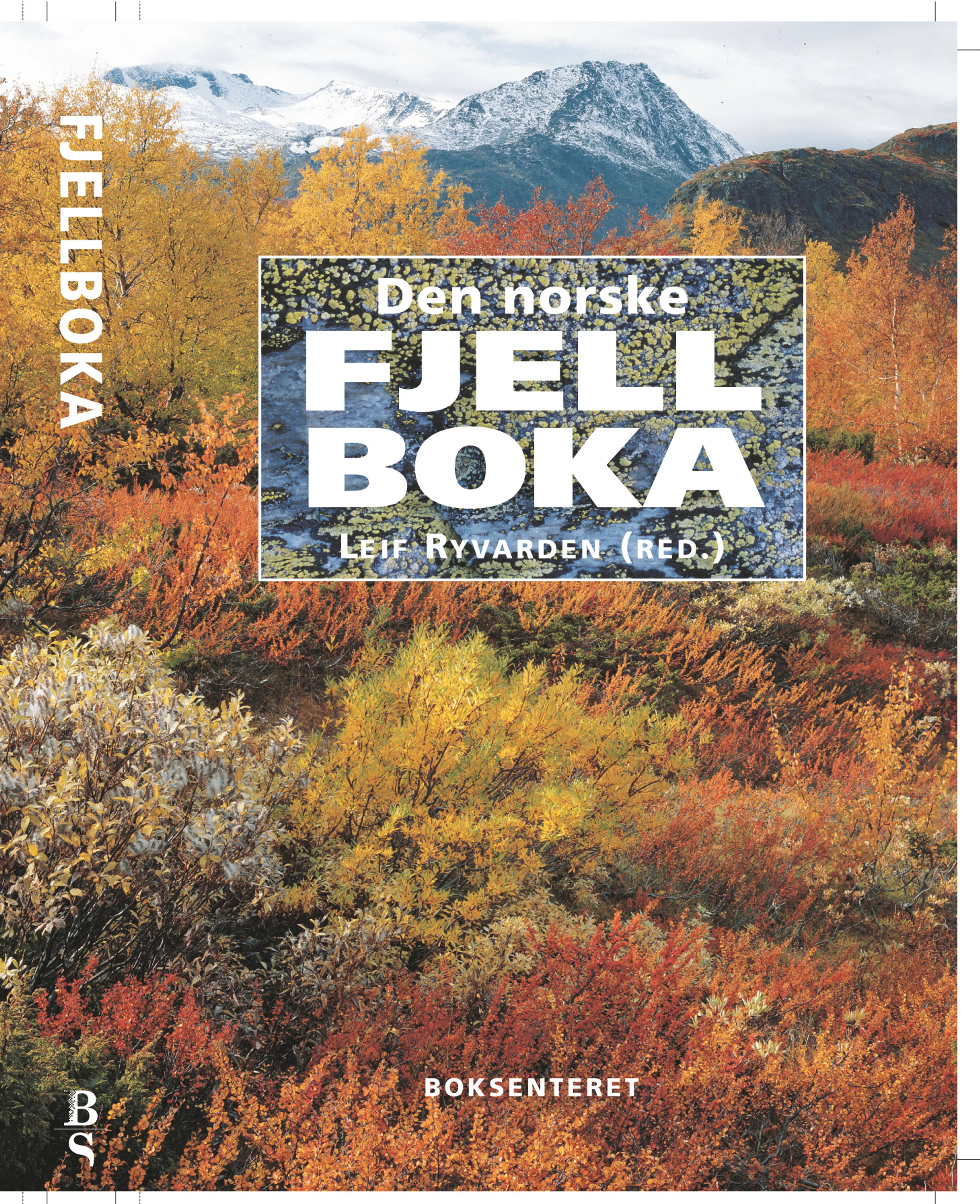 Omslag Den norske fjellboka av Leif Ryvarden (Red) (Innbundet)